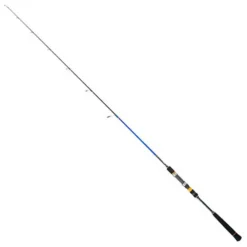 Rayforce XBR Light Jigging Rod
