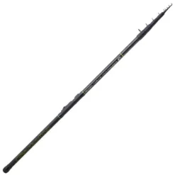 Teca RC Bolognese Rod
