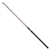 Fish Instinct FW20 Telelake Bolognese Rod